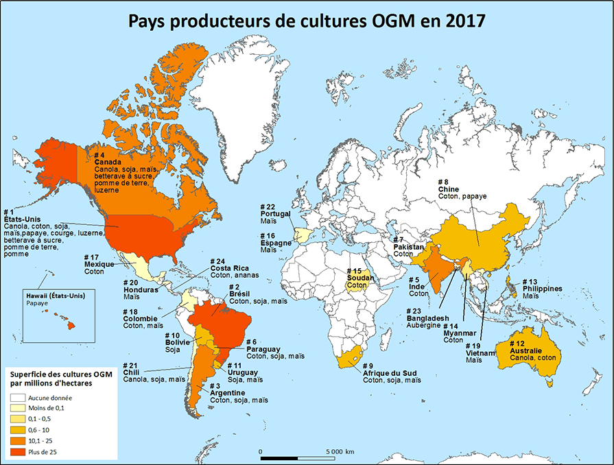 Carte des principaux producteurs mondiaux