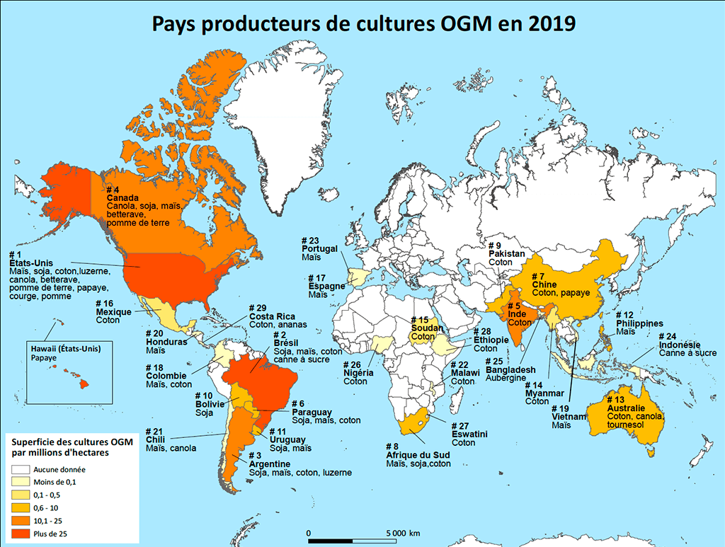 Carte des principaux producteurs mondiaux